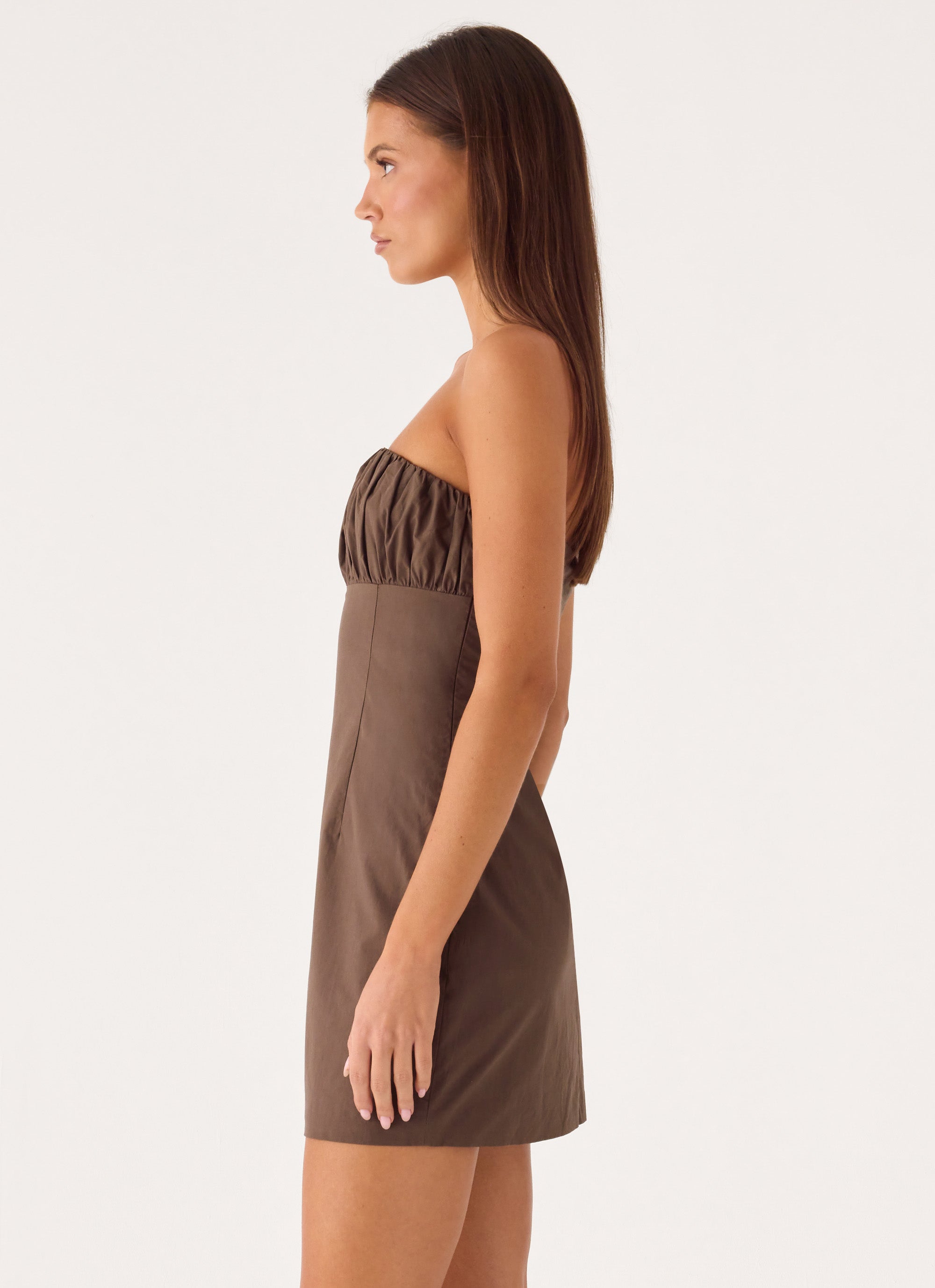 Akirra Mini Dress - Ash Brown