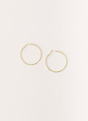 Maxxy Hoop Earrings - Gold