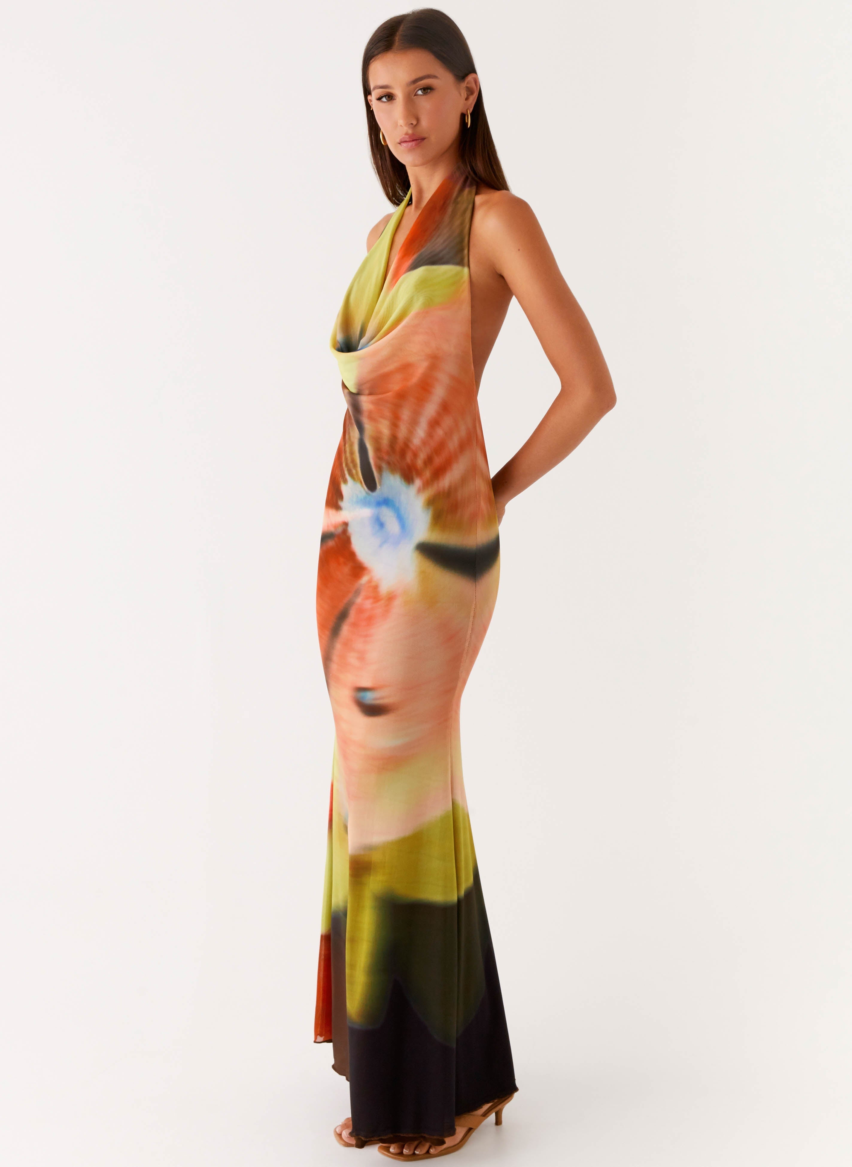 Raellia Maxi Dress - Moody Floral
